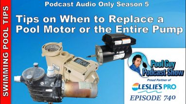 Should you Replace Just Your Pool Motor or the Entire Pool Pump?