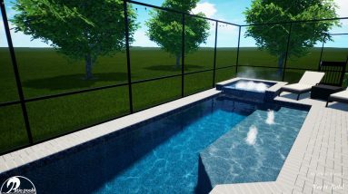 Bold Swimming Pool and Screen Enclosure - Patio Pools