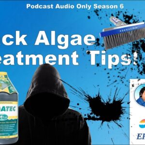 Black Algae Treatment Tips!