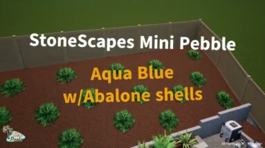 Adams Pool   Made with Clipchamp