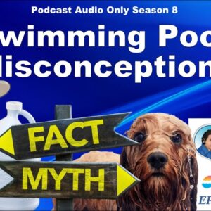 Common Swimming Pool Misconceptions
