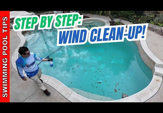 Pool Clean-Up After a Wind Storm: Step by Step Video!