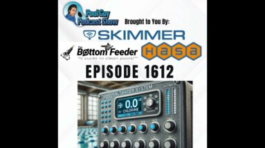 Why Does My Saltwater Pool Have Zero Chlorine? (part 1)