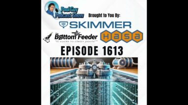 Why Does My Saltwater Pool Have Zero Chlorine? (Part 2)