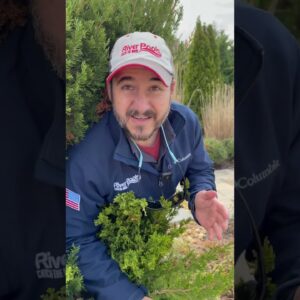 7 Hidden Costs of a Fiberglass Pool Project - Land Survey & Retaining Walls