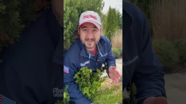 7 Hidden Costs of a Fiberglass Pool Project - Land Survey & Retaining Walls