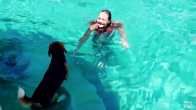 21 Idea for Inground Pools