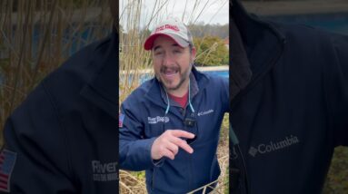 7 Hidden Costs of a Fiberglass Pool Project - Concrete and Dirt Hauling