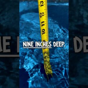 What Should the Depth of My Tanning Ledge Be?