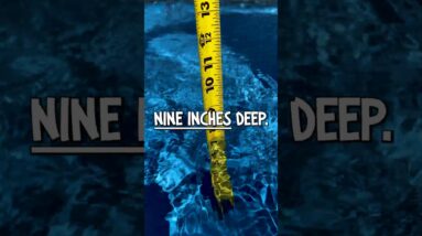 What Should the Depth of My Tanning Ledge Be?