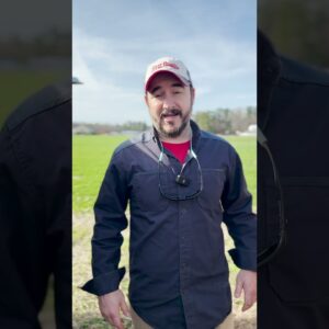 Custom Pool Design or Faster Install? Here's the Trade-Off