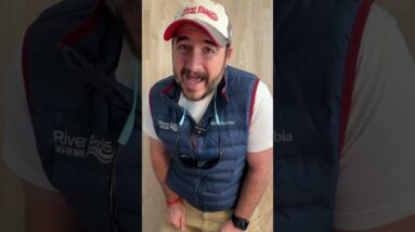 Pool Ideas You Can’t Afford to Miss!