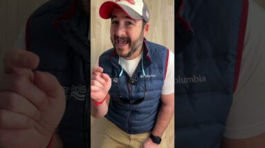 Small Pool Features You’ll Regret Skipping