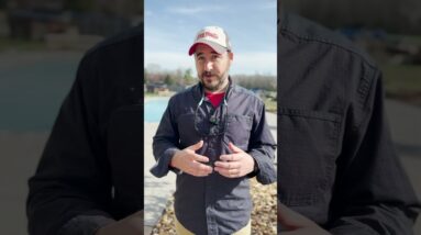 Concrete or Fiberglass? Here's How to Choose the Right Pool for You