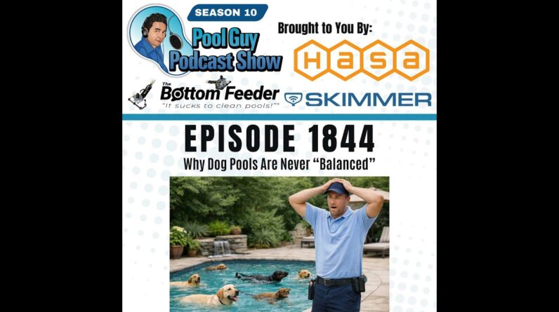 Why Dog Pools Are Never “Balanced”