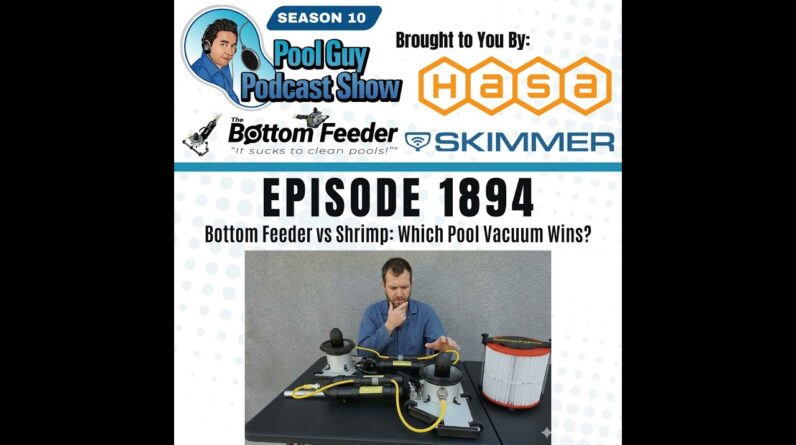 Bottom Feeder vs Shrimp: Which Pool Vacuum Wins?