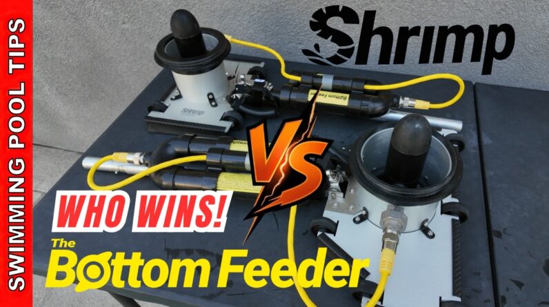 Bottom Feeder vs Shrimp: Which Vacuum Fits Your Pool Route Best?