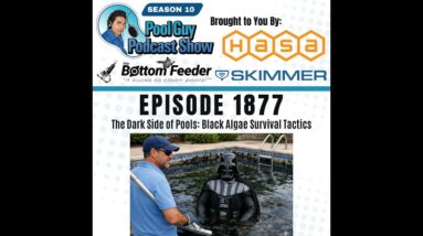 The Dark Side of Pools: Black Algae Survival Tactics