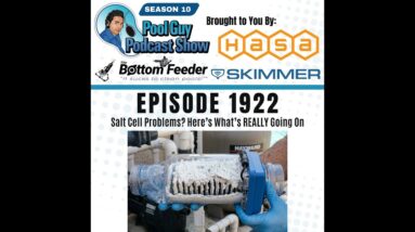 Salt Cell Problems? Here’s What’s REALLY Going On